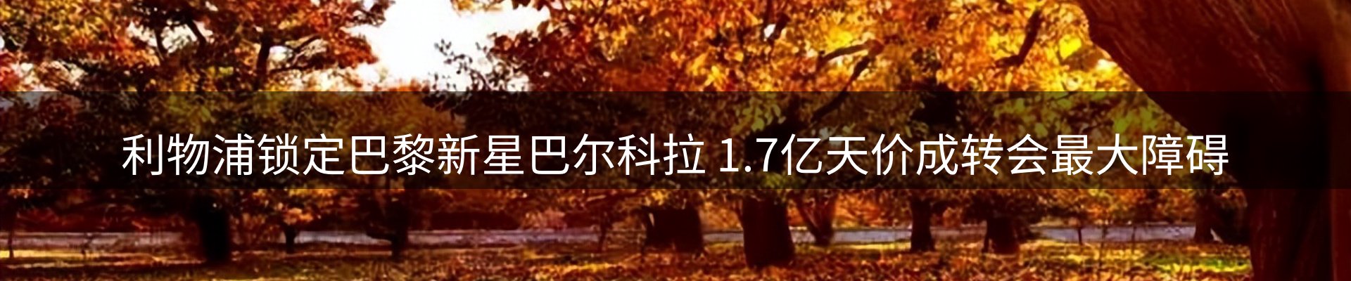 品牌资讯