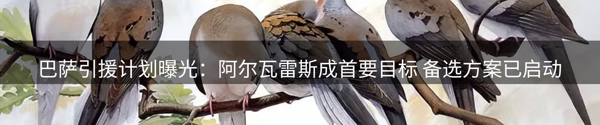 品牌资讯